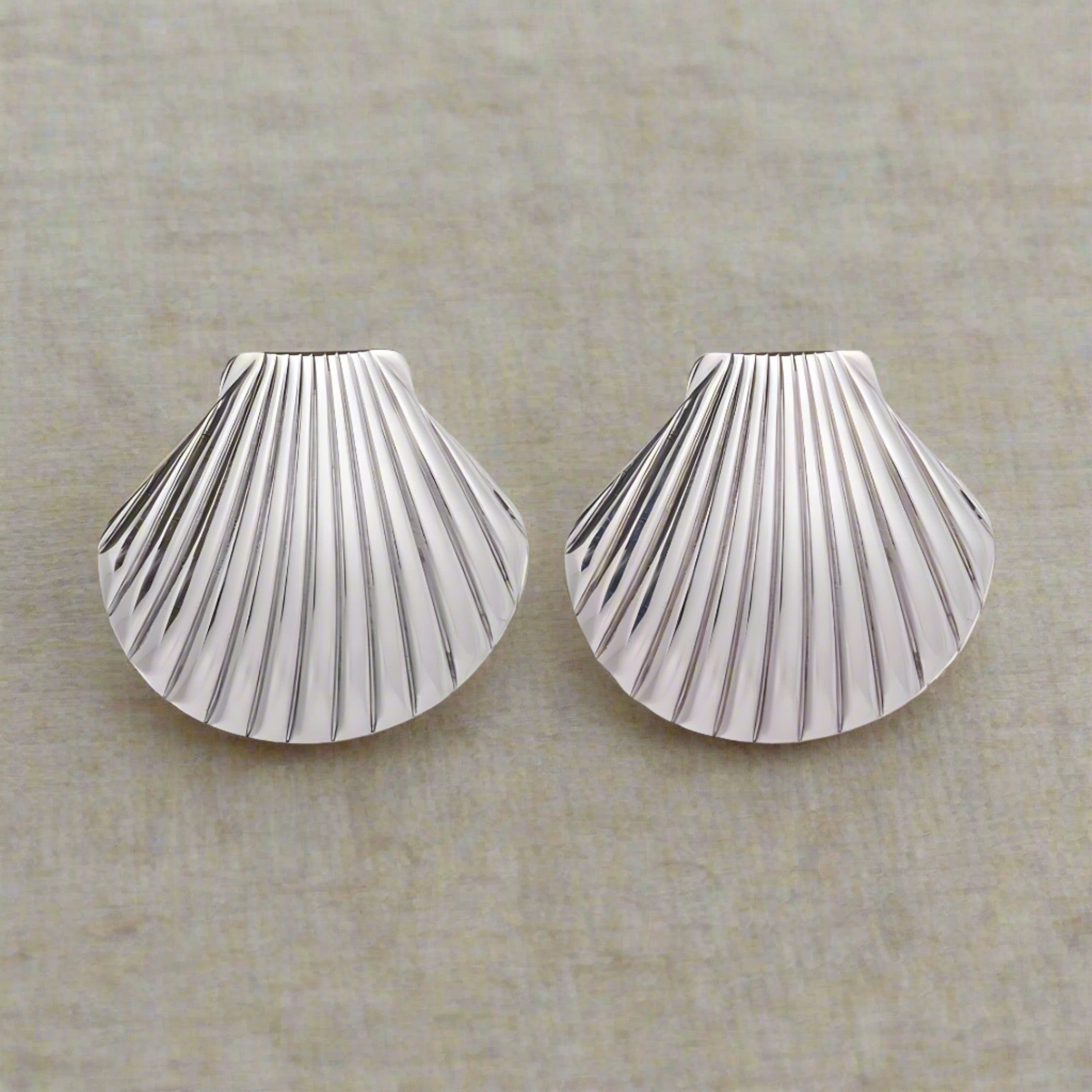 Silver Seashell Earrings